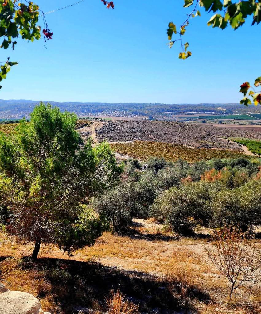 القدس | موسوعة القرى الفلسطينية